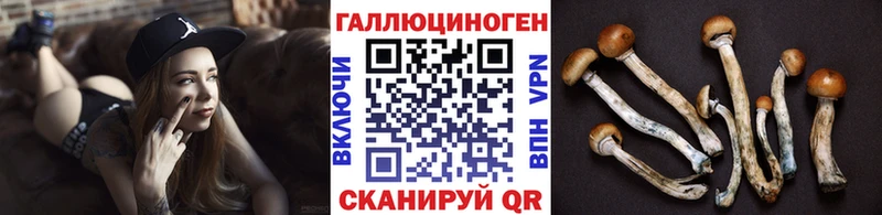 Псилоцибиновые грибы Cubensis  Купить где  Краснослободск 